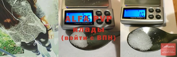 твердый Пересвет