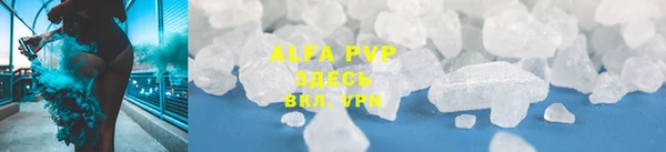 твердый Пересвет