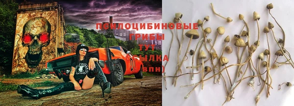 марки lsd Пестово