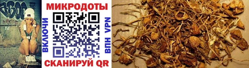 Псилоцибиновые грибы MAGIC MUSHROOMS Армянск